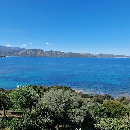 Appartement Sur La Baie De Saint Florent Patrimonio Kültér fotó