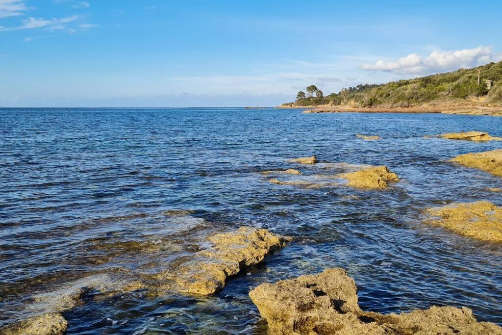 Appartement Sur La Baie De Saint Florent Patrimonio Kültér fotó