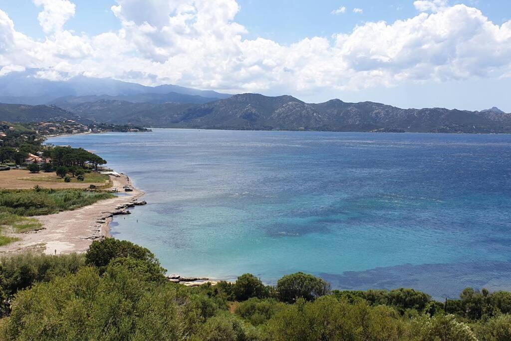 Appartement Sur La Baie De Saint Florent Patrimonio Kültér fotó