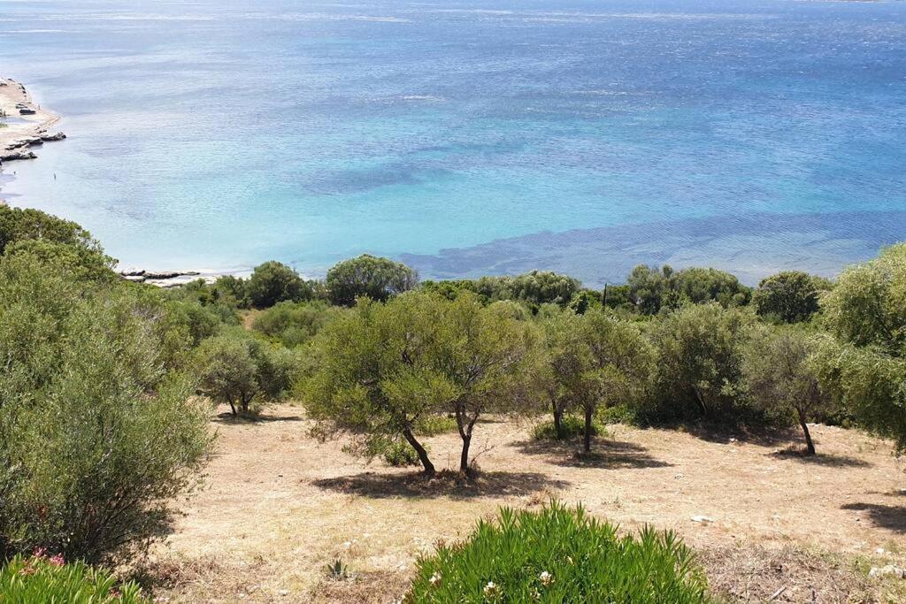Appartement Sur La Baie De Saint Florent Patrimonio Kültér fotó